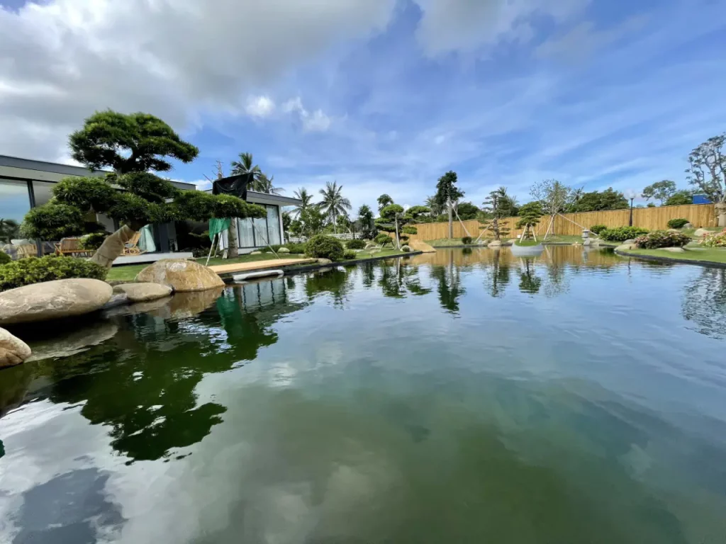 Không gian xanh của hồ cá Koi tại Hải Phòng được thực hiện bởi ISHI KOI FARM