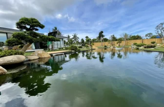 Không gian xanh của hồ cá Koi tại Hải Phòng được thực hiện bởi ISHI KOI FARM