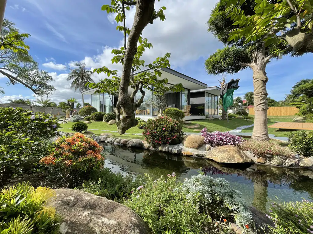 Hồ cá Koi sân vườn quy mô lớn được thiết kế và thi công bởi ISHI KOI FARM