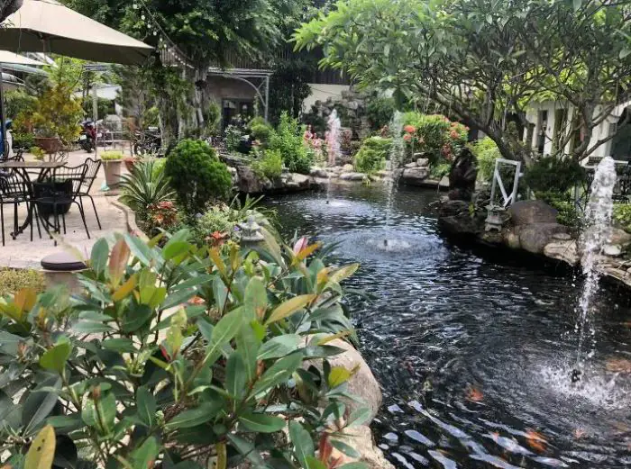 Cafe hồ Koi sân vườn với nhiều cây xanh