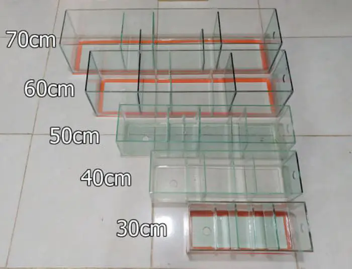 Bể kính có các vách ngăn dùng để thiết kế lọc tràn trên
