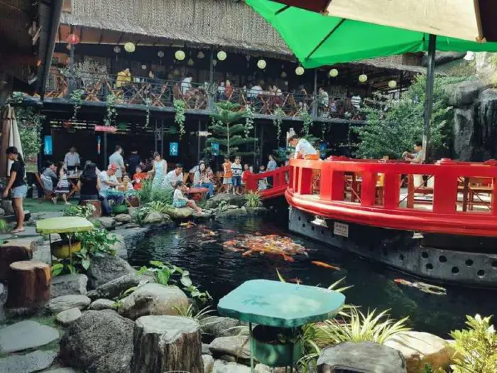 Quán cafe hồ cá Koi sân vườn thu hút rất nhiều khách hàng, cả trẻ em lẫn người lớn