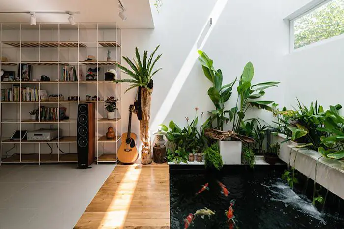 Thiết kế ấn tượng hồ Koi mini trong nhà