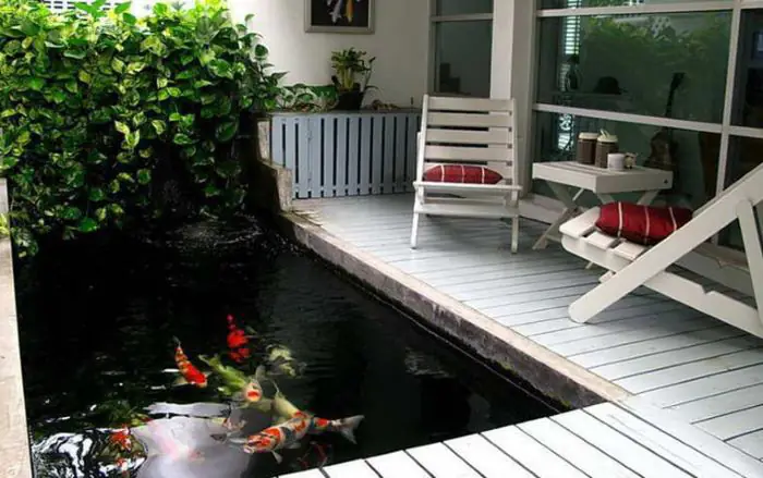 Không gian riêng tư, yên tĩnh, trong lành cùng bể cá Koi trên sân thượng