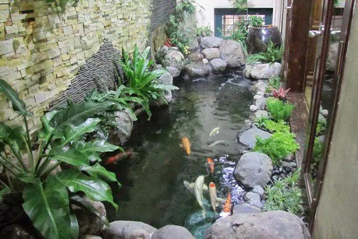 Mẫu hồ Koi mini đẹp kết hợp tiểu cảnh đá và cây xanh trong nhà
