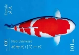 Bí mật về chú cá Koi đẹp nhất thế giới S Legend