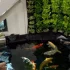 8 bước tự thiết kế hồ cá Koi sân vườn đẹp chuẩn mực