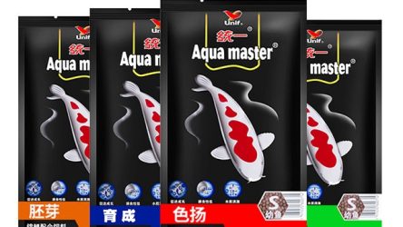 Địa chỉ cung cấp thức ăn Cá Koi Aqua Master số 1 thị trường